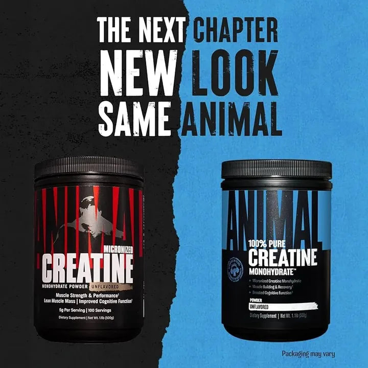 Creatina Animal 1KG