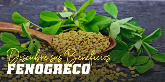 Fenogreco  250gr