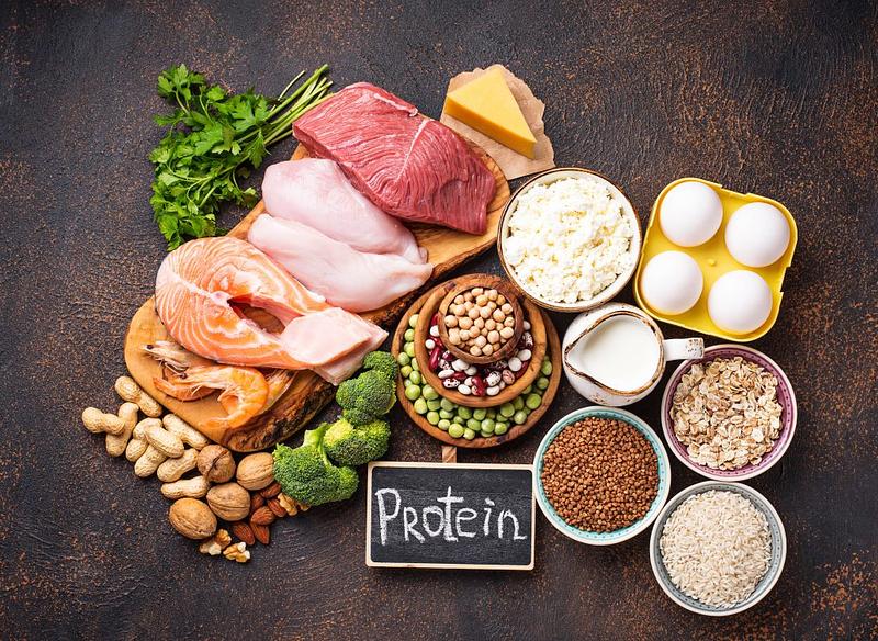 TUS REQUERIMIENTOS DE PROTEINA AL DIA